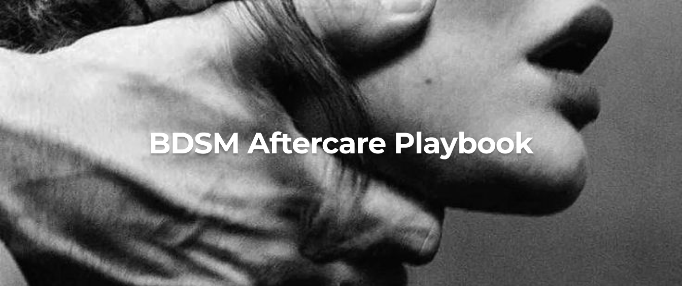 Black and white image with text 'BDSM Aftercare Playbook' on a gray background